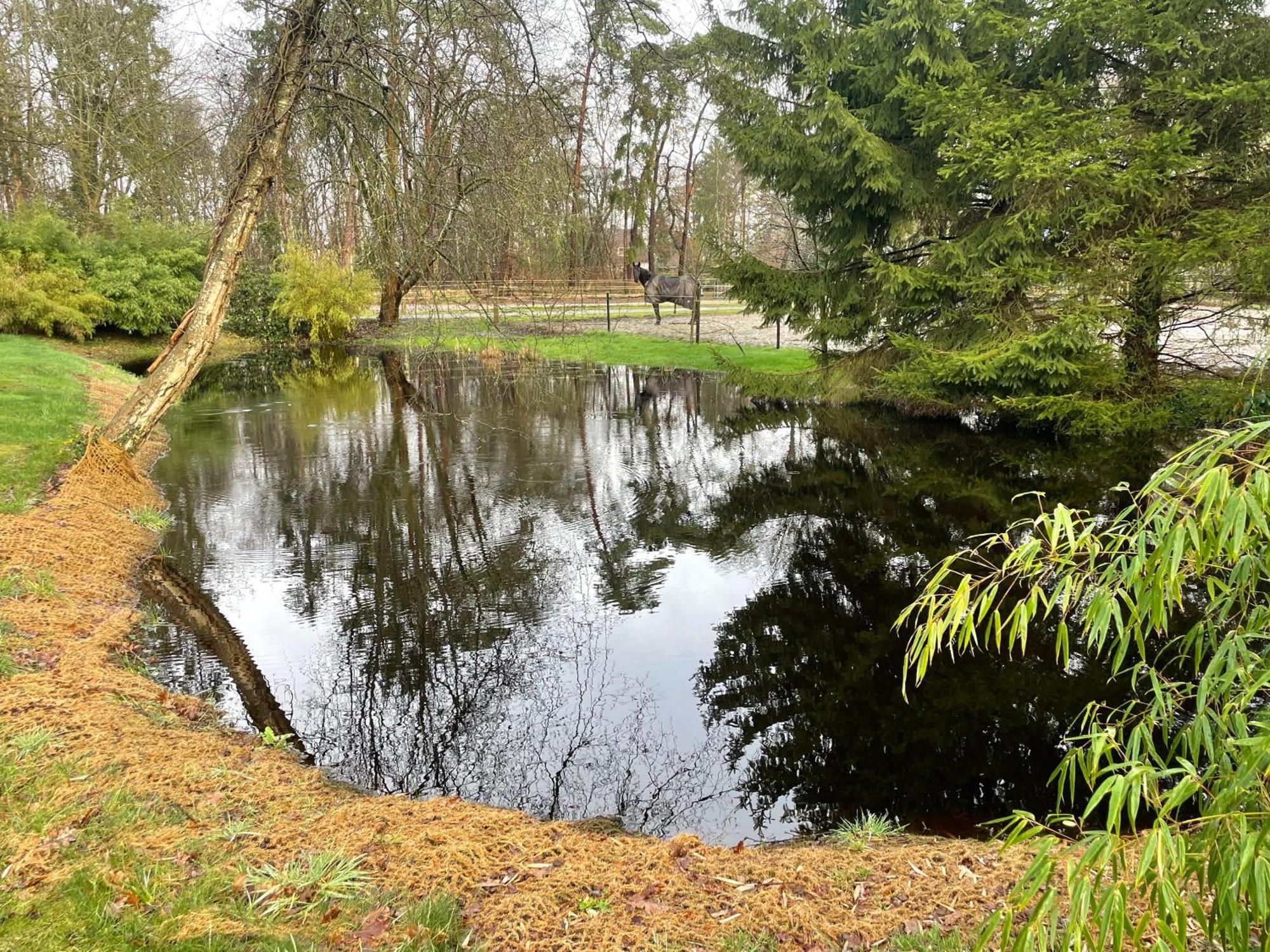 Haus Am Teich Lejlighed Worpswede Eksteriør billede